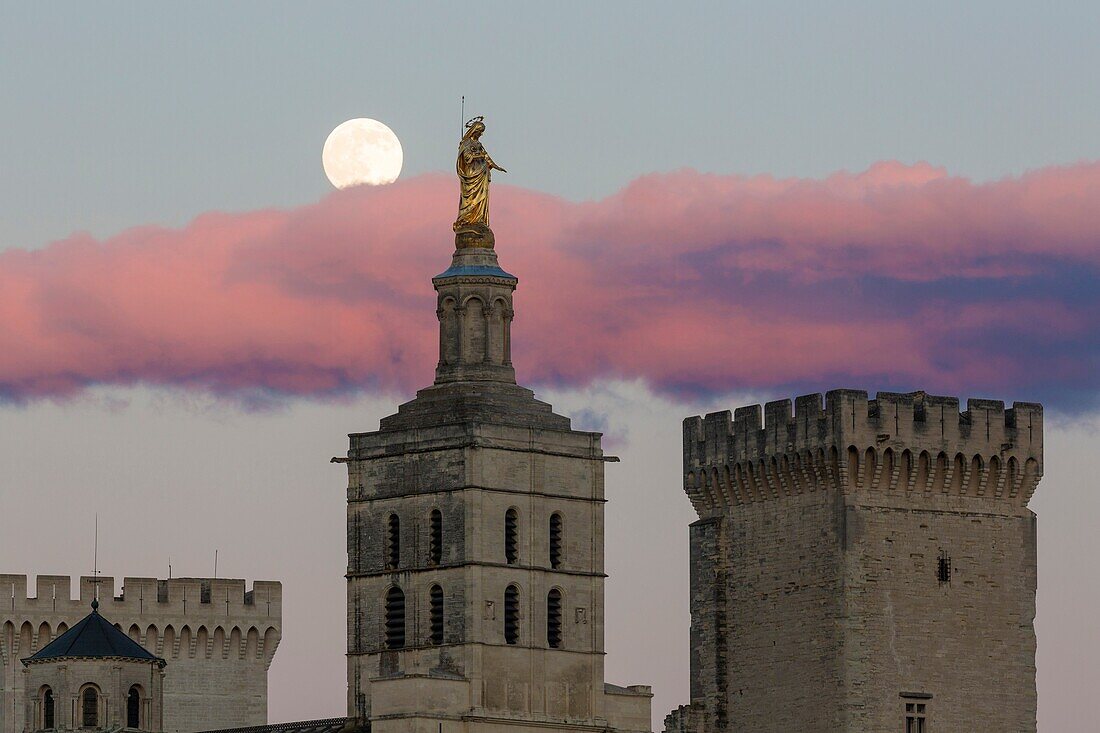 Papal palace (Palais des Papes) and cathedral Notre Dame with full moon, Avignon, France.