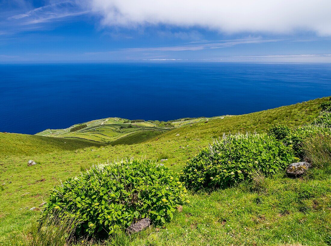 Portugal, Azores, Corvo, Green Fields on the Island.
