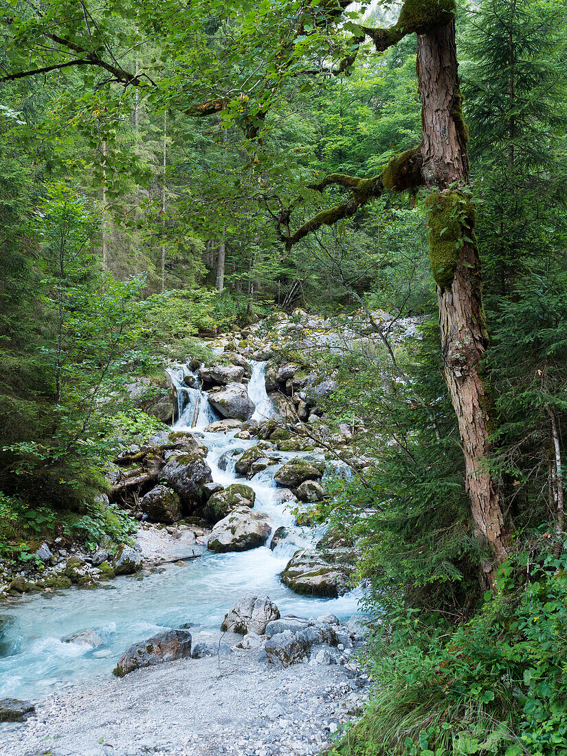 Hammersbach creek near Garmisch Partenkirchen, Wetterstein mountains, Alps, Upper Bavaria, Germany, Europe