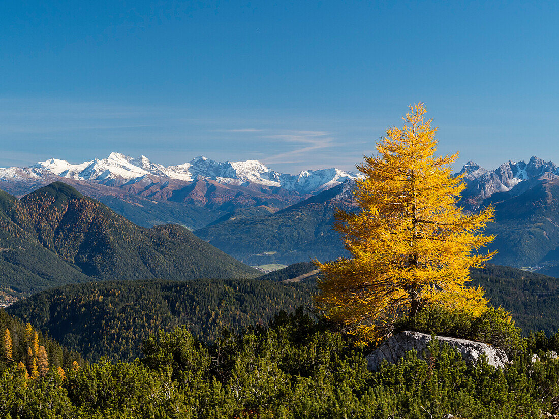 Blick von den Südhängen des Wettersteingebirges auf die Zillertaler Alpen, Gefrorene Wand und Olperer, Herbst, Tirol, Österreich, Europa