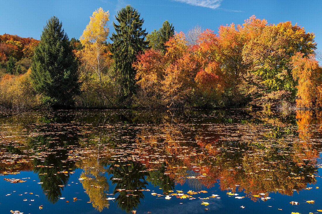 Herbststimmung am Hochschlossweiher bei Pähl, Oberbayern, Deutschland, Europa