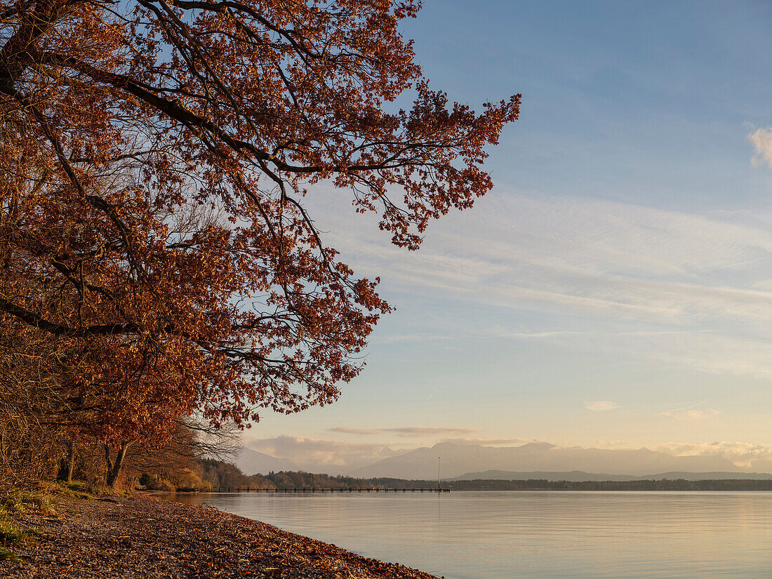 View along the eastern shore of lake Starnberg to the Alps in a southerly direction in late autumn, Ambach, Upper Bavaria, Germany