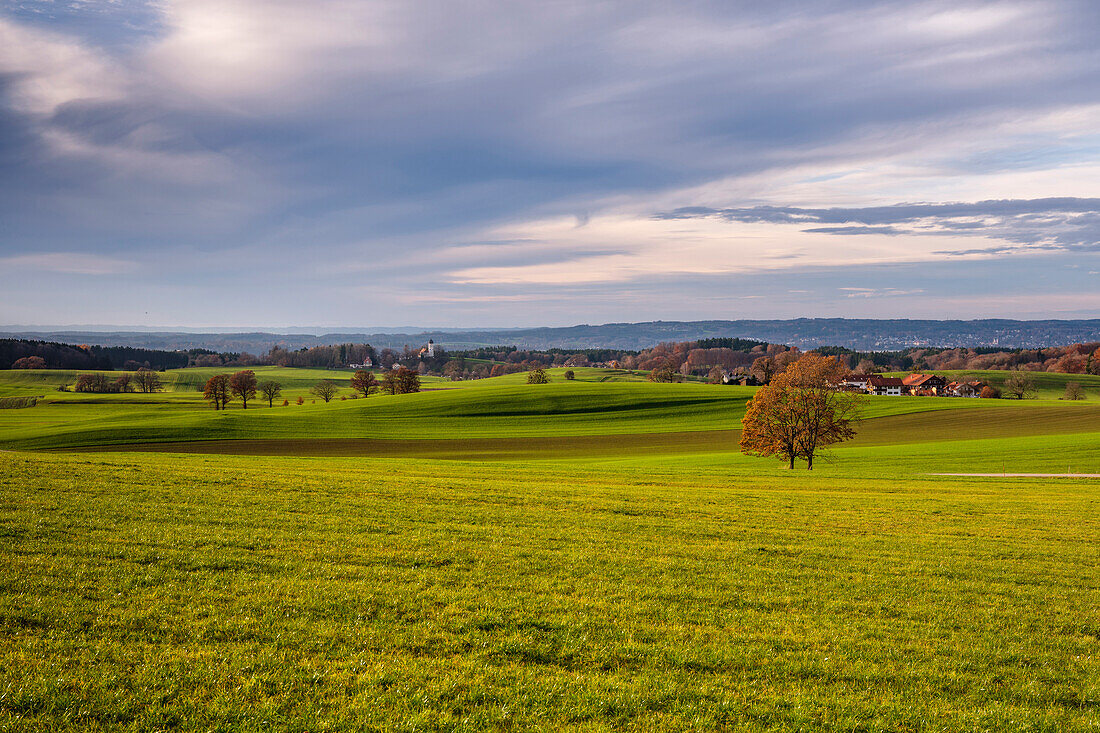 View over Autumn meadow to St. Johann Baptist in Holzhausen in the direction of Starnberger See, Upper Bavaria, Germany