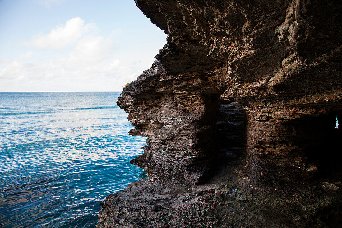 BERMUDA. Hamilton Parish. Cliff jumping, swimming off a point in Admiralty House Park in Hamilton.