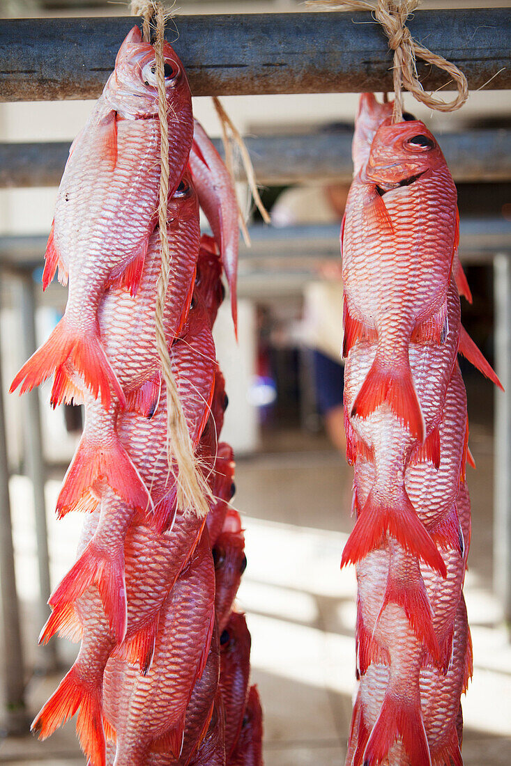 FRENCH POLYNESIA, Raiatea Island. Fish for sale at the Raiatea Market.