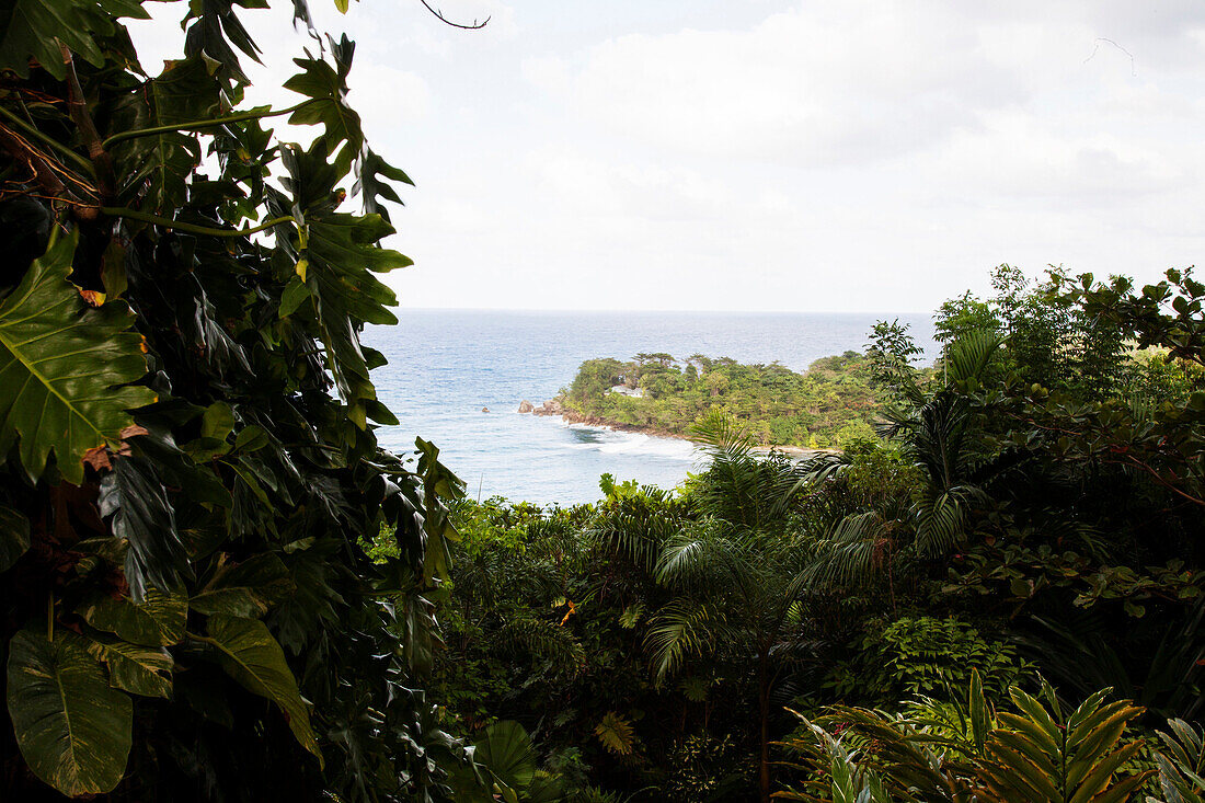 JAMAICA, Port Antonio. A view of the coastline from the Geejam Hotel.