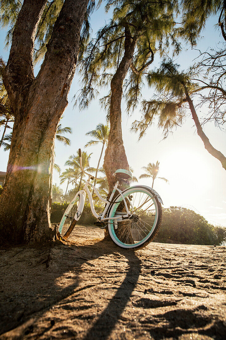 HAWAII, Oahu, North Shore, a bike resting on a tree at Pipeline