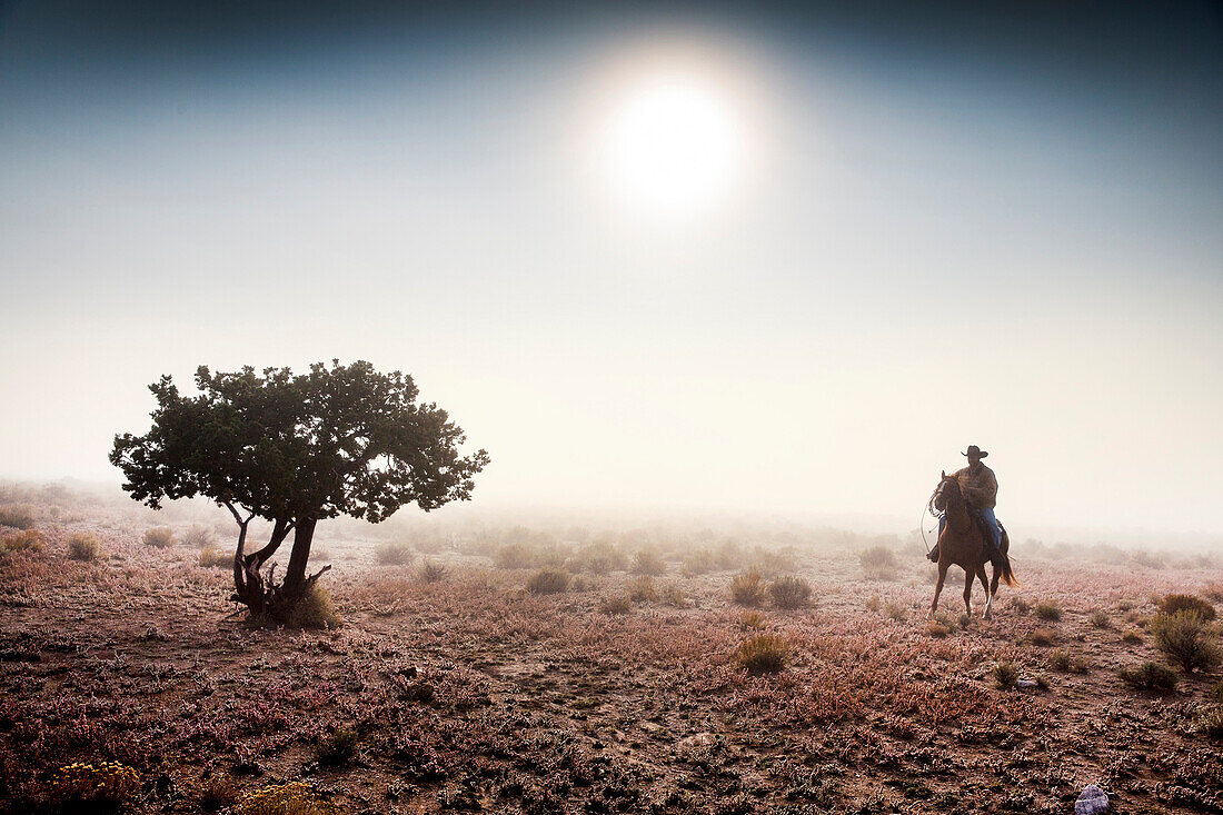 USA, Nevada, Wells, cowboy and wrangler Clay Nannini out early herding the mustangs at Mustang Monument, A sustainable luxury eco friendly resort and preserve for wild horses, Saving America's Mustangs Foundation