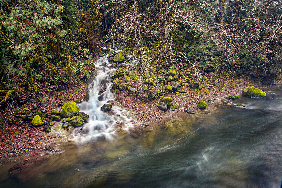 USA, Oregon, Santiam Pass, The Santiam River which is a tributary of the Willamete River is located off of Highway 20