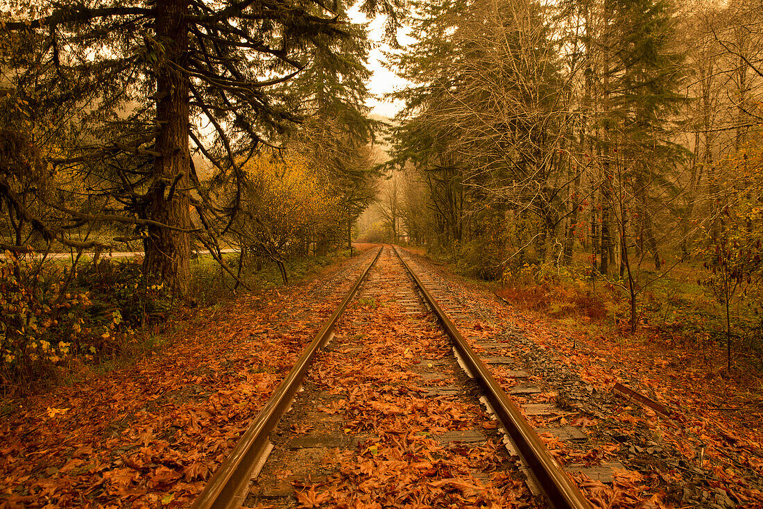USA, Oregon, train tracks covered in colorful leaves off of Highway 20