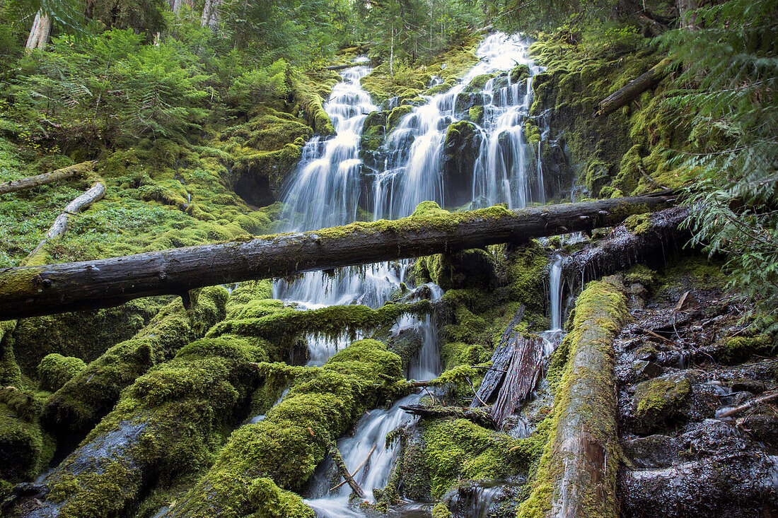 USA, Oregon, Oregon Cascades, Proxy Falls in the Wilamette National Forest in the early Fall, McKenzie Pass