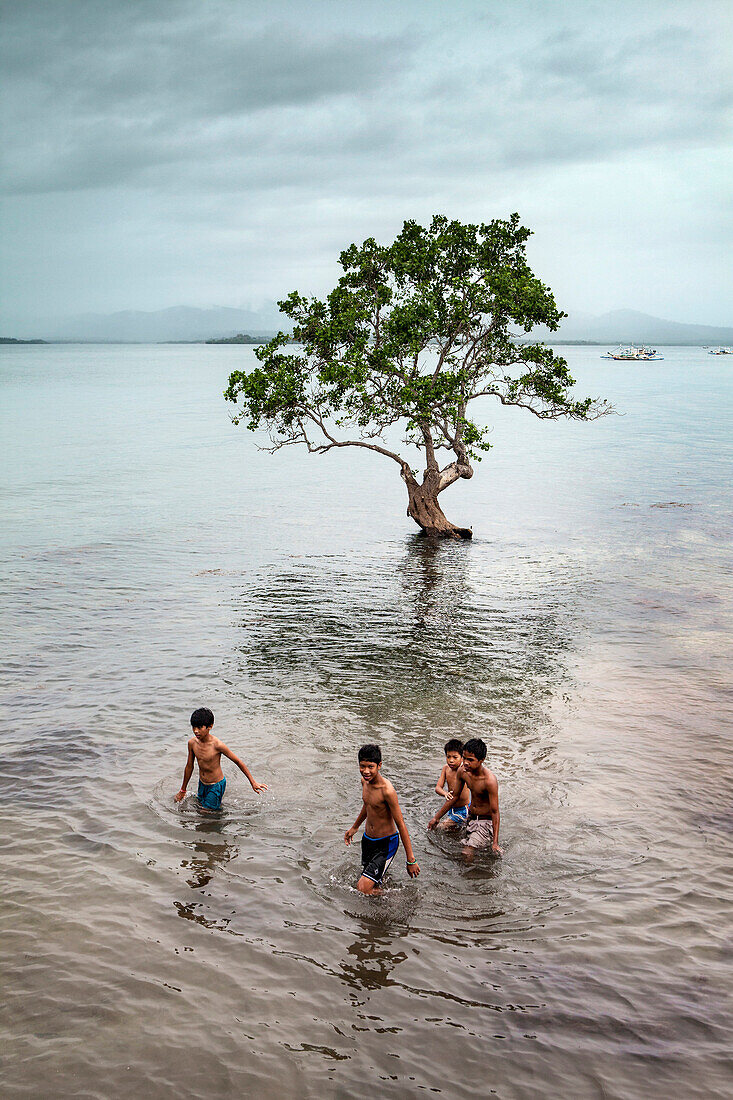 PHILIPPINES, Palawan, Puerto Princesa, view of a Bakawan tree and kids in front of the Badjao Seafood Restaurant