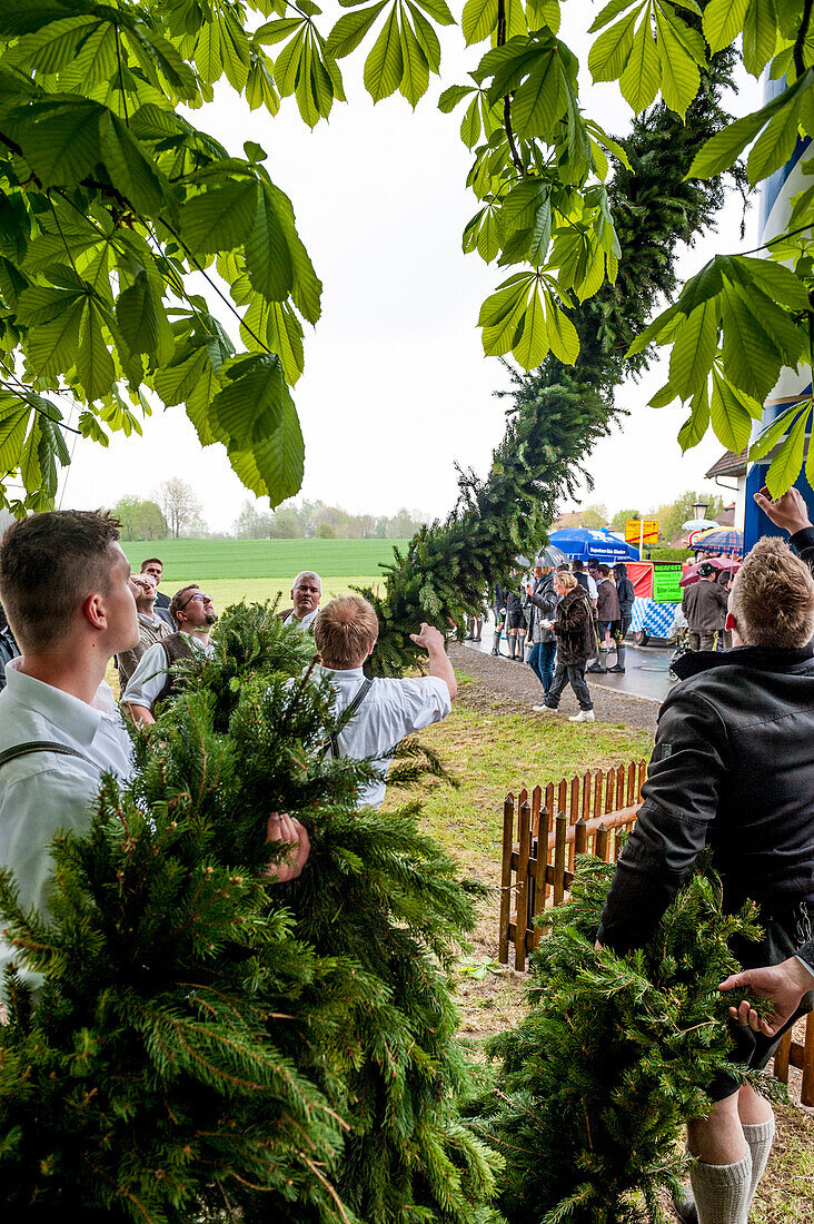 maypole, bavarian tradition, Bavaria, Germany, Europe