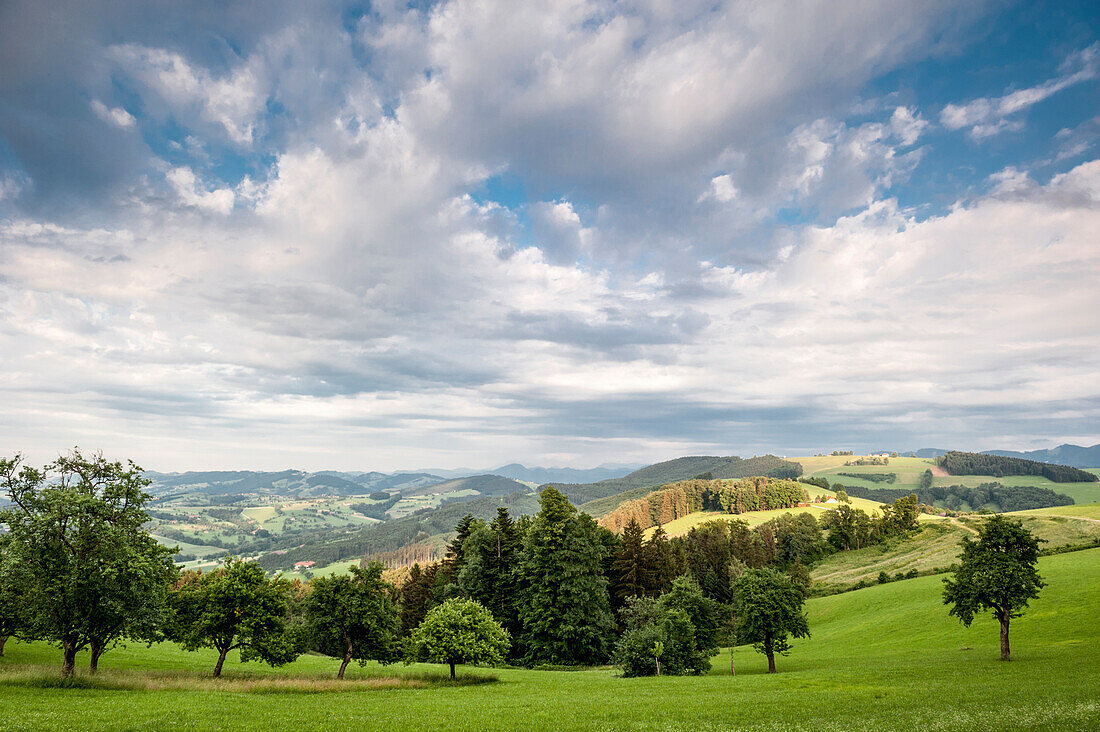 hilly landscape, Austria, Europe