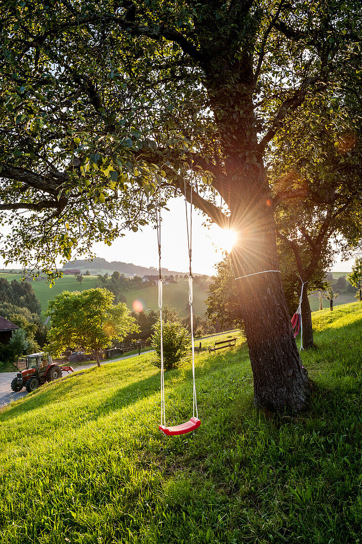 swing, farm, Austria, Europe