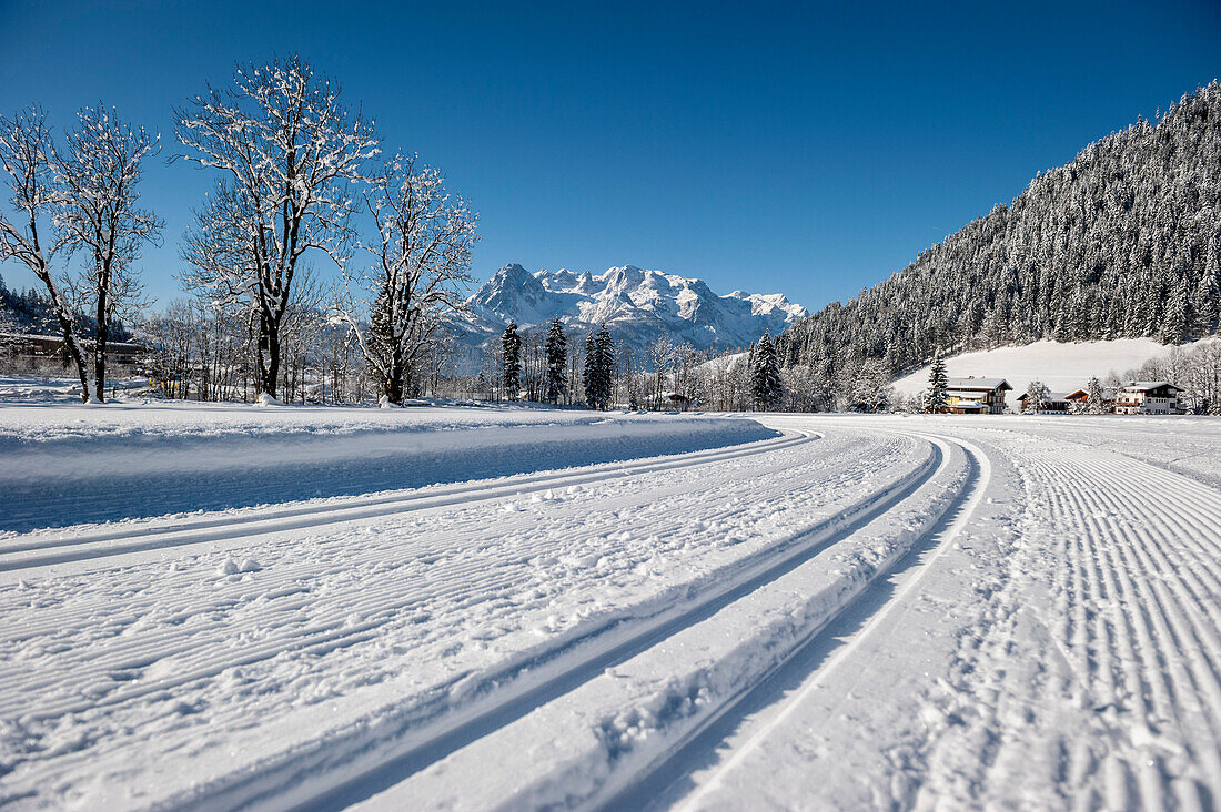 cross-country ski-tracks, winterly landscape, mountains, snow, Werfenweng, Austria, the Alps, Europe