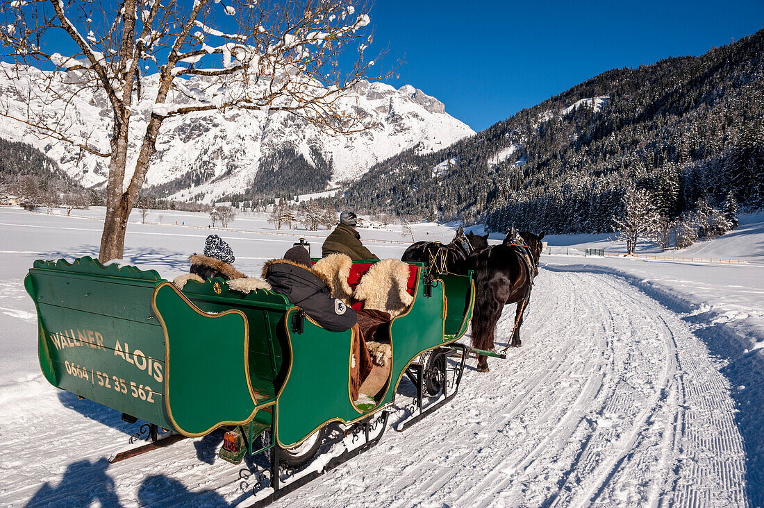 sleigh, winterly landscape, mountains, snow, Werfenweng, Austria, the Alps, Europe