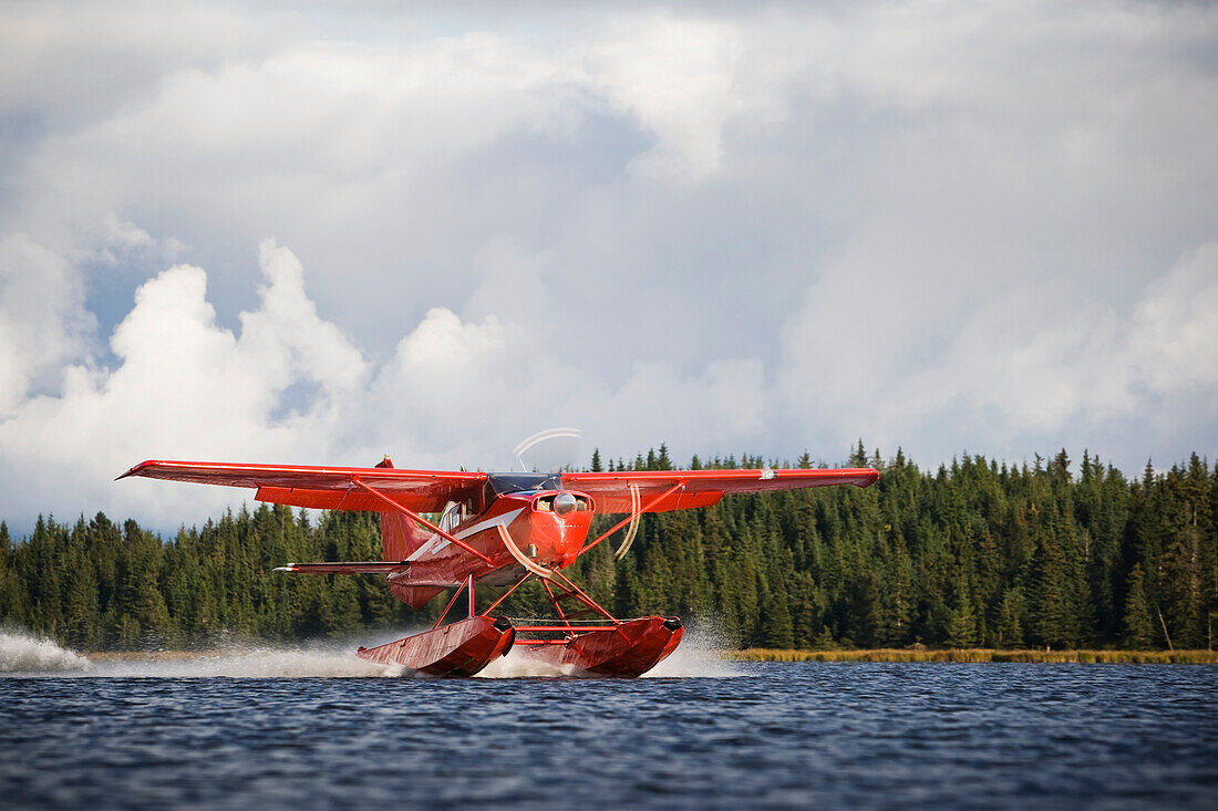 View Of A Cessna 206 Stationair Floatplane Landing, Alaska, USA