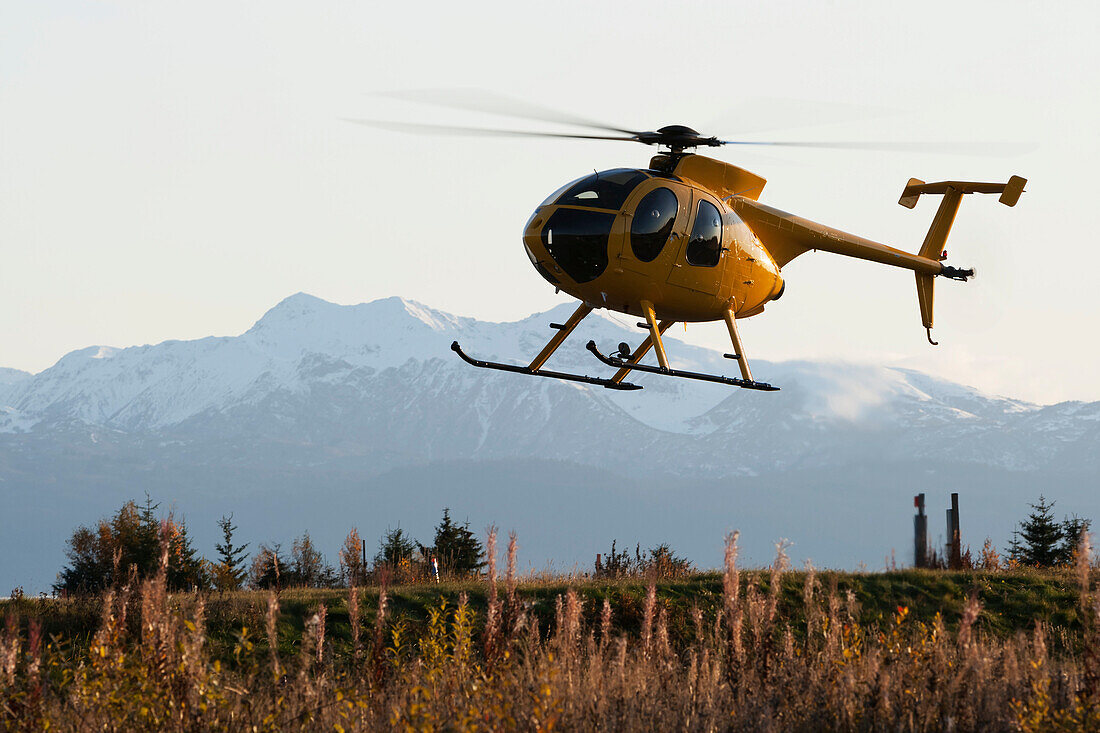 Hughes 500 Helicopter Landing At Homer, Southcentral Alaska, USA