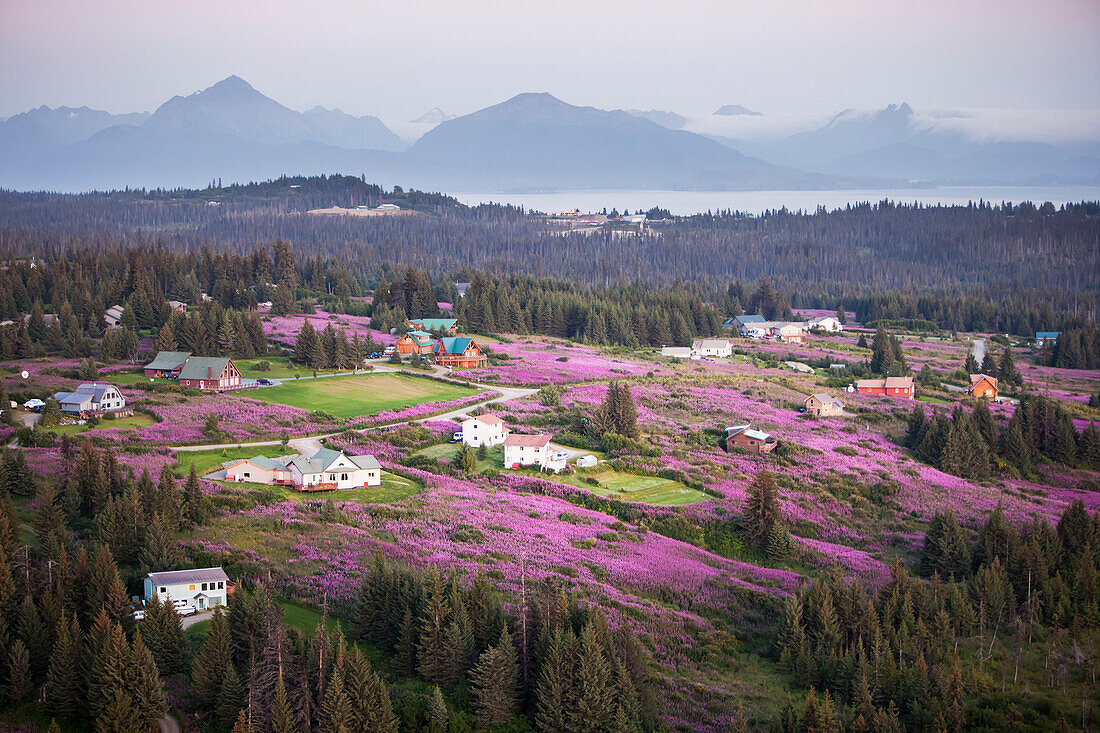 Aerial View Of Diamond Ridge And Fields Of Fireweed With The Kenai Mountains In The Background, Southcentral Alaska, USA
