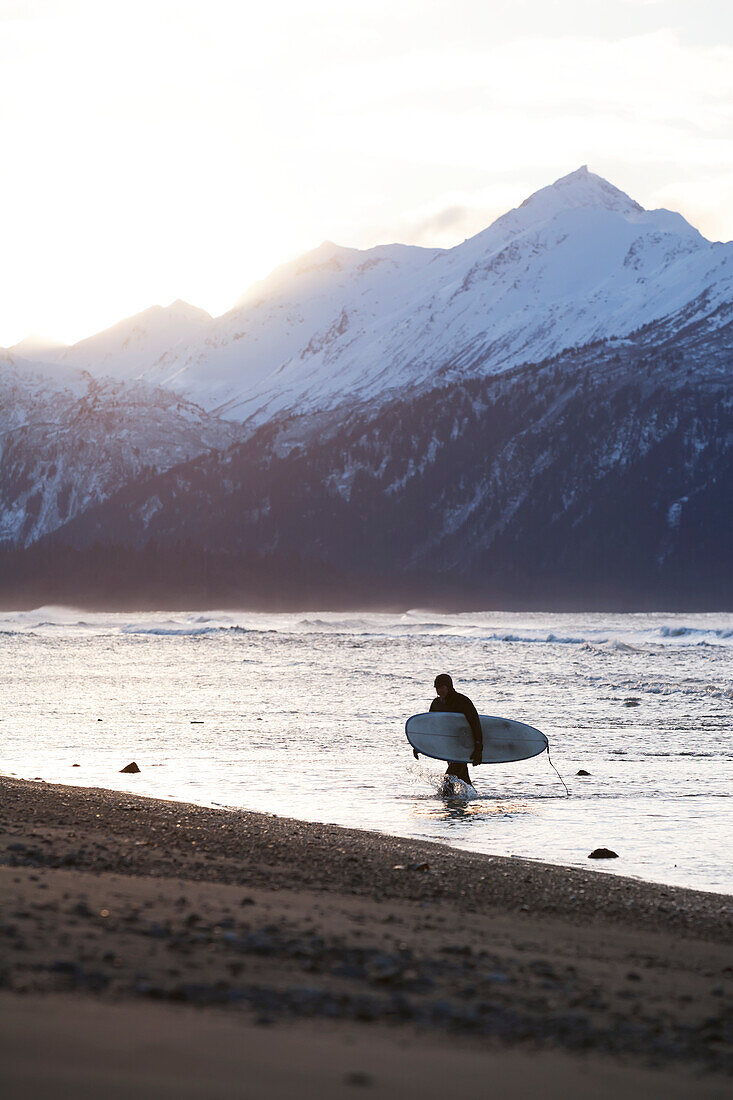 Surfer Carries His Board Out Of Kachemak Bay, Homer Spit, Southcentral Alaska, USA