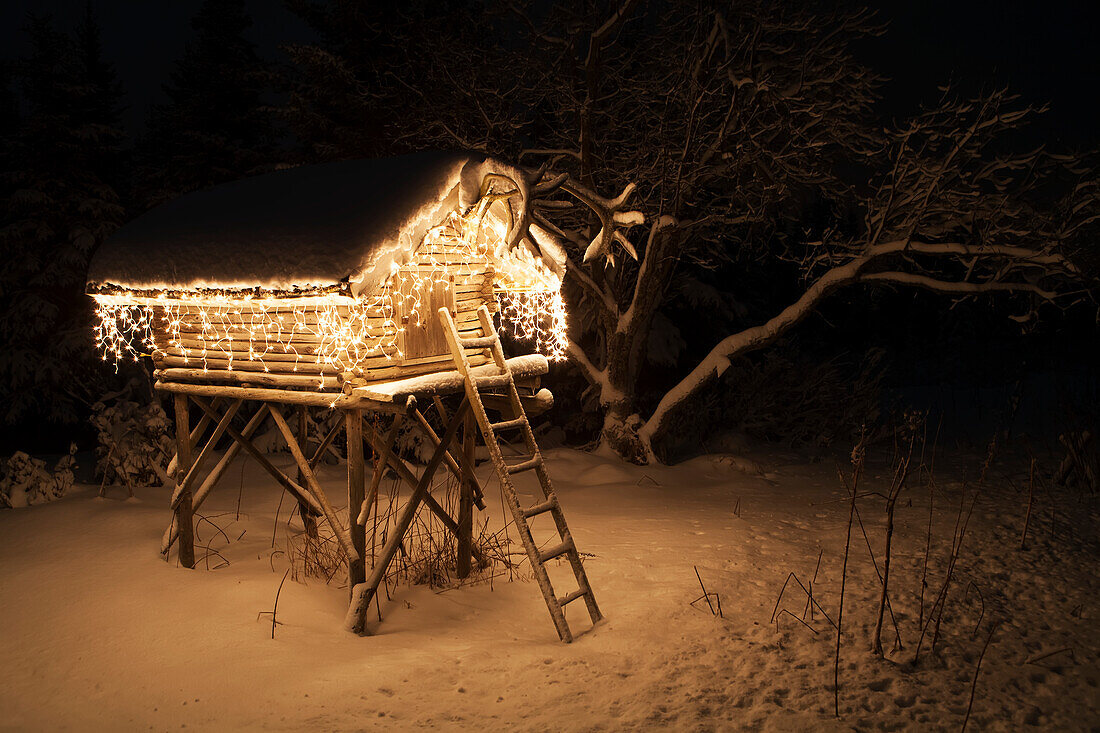 Log Cache Decorated And Lit With Christmas Lights, Alaska, USA