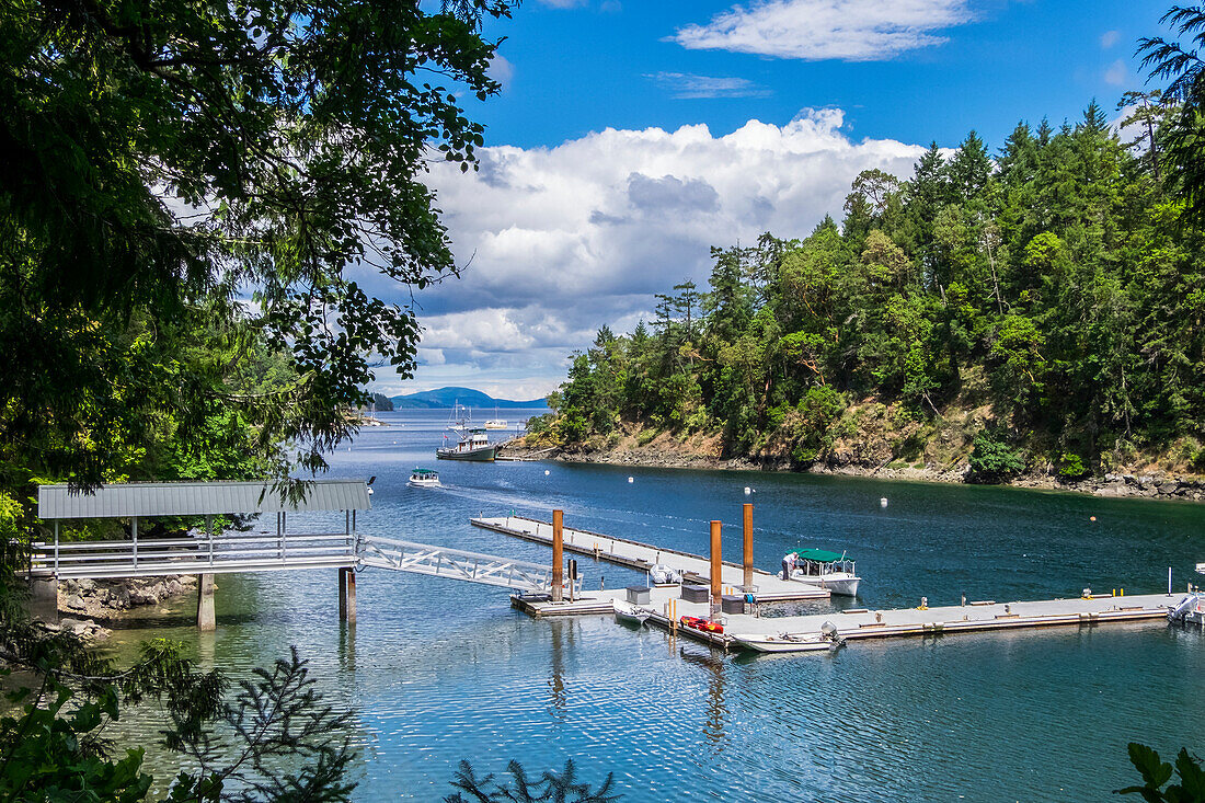 Boat Tours Run In And Out Of Butchart Cove, Vancouver Island; Victoria, British Columbia, Canada