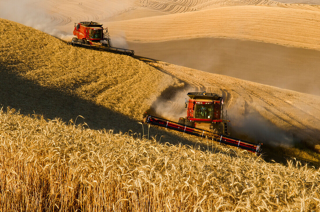 Combines Harvest Grain In The Palouse Region Of Eastern Washington; Washington, United States Of America