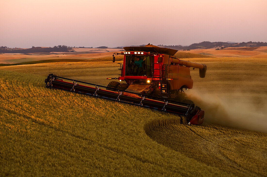 A Combine Harvests Grain In The Palouse Region Of Eastern Washington; Washington, United States Of America