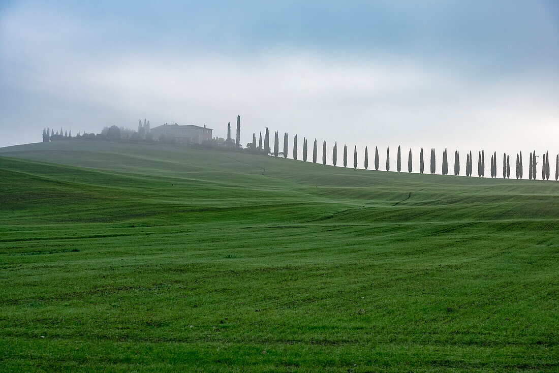 A Typical Tuscany Landscape With Cypress Alley Leads To A Small Villa On A Green Hill; Castiglione D'orcia, Italy