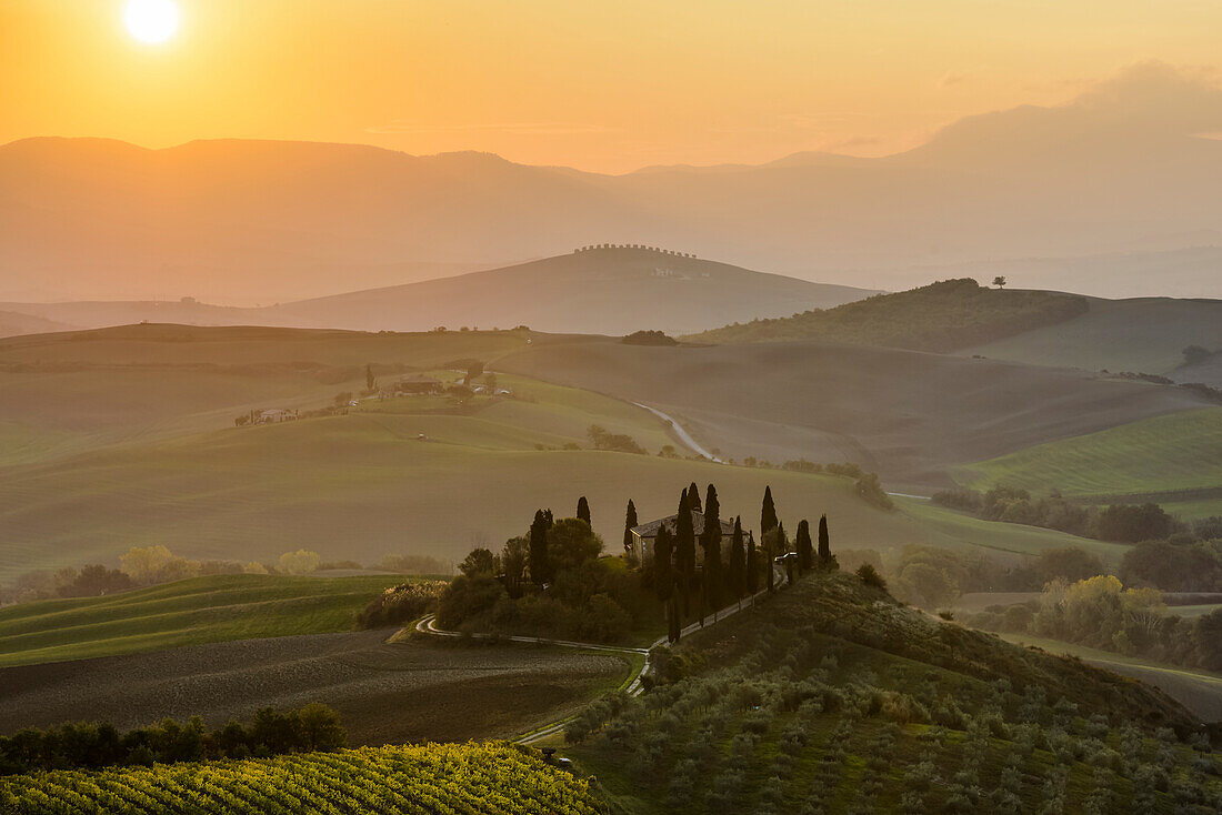 The morning sun rising above layered Tuscany green hills and the small Podere Belvedere villa with a vineyard in the foreground near San Quirico D'orcia; Tuscany, Italy