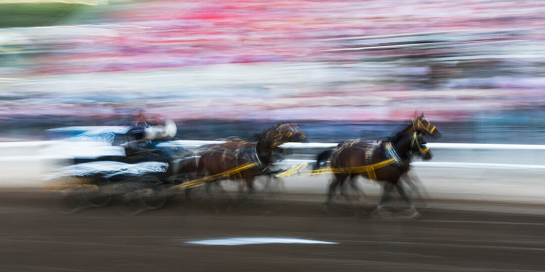 Motion blur of cowboys riding in a carriage behind a team of horses in front of spectators in the stands at the Calgary Stampede; Calgary, Alberta, Canada