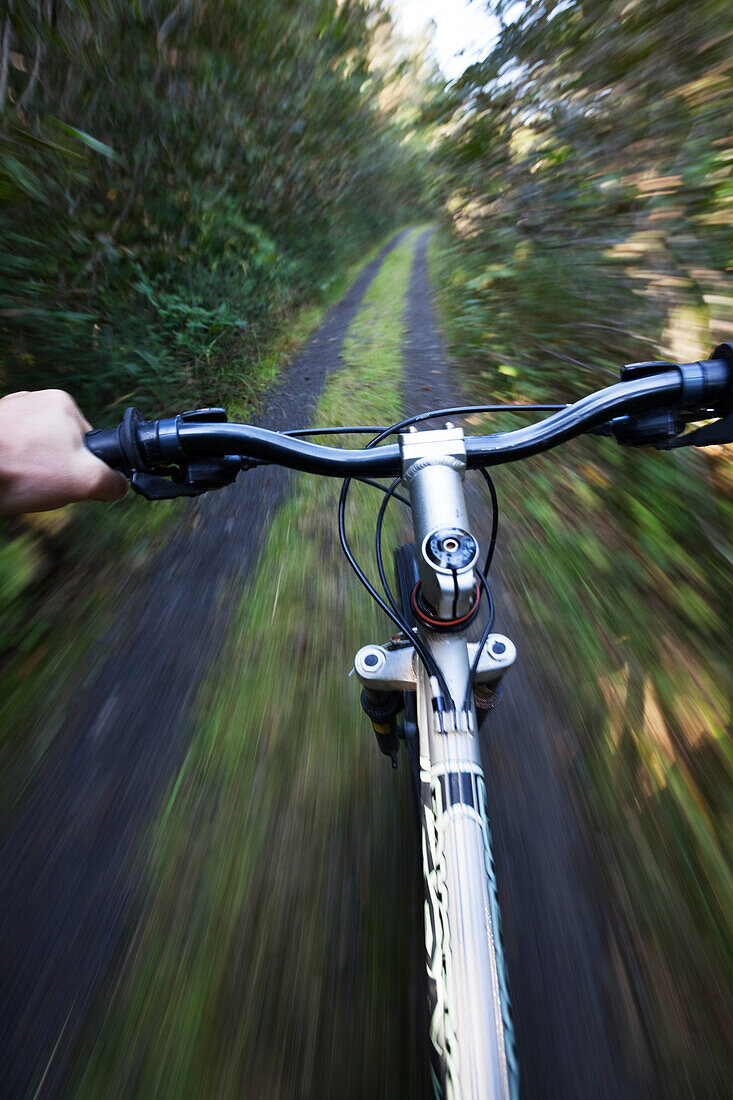 Mountain Biking On A Trail Through A Forest; Alaska, United States Of America