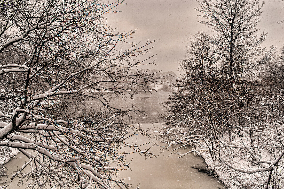 Blizzard Conditions By The Lake In Central Park; New York City, New York, United States Of America