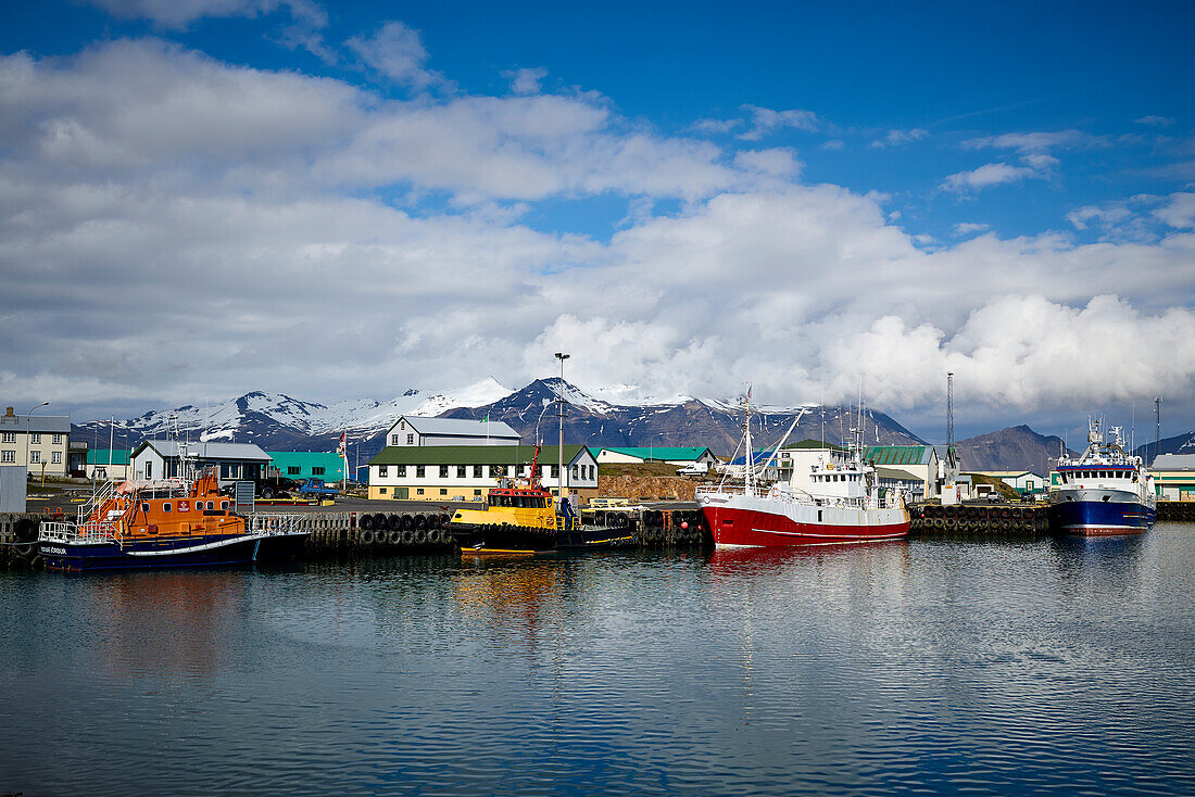Colourful Boats In The Harbour And Buildings Along The Waterfront; Hofn, Iceland