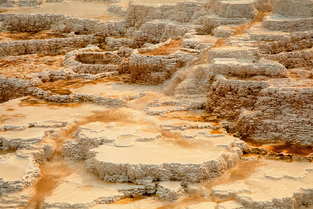 Terraces (Made From Crystallized Calcium Carbonate) Dominate The Landscape At Mammoth Hot Springs, Yellowstone National Park; Wyoming, United States Of America