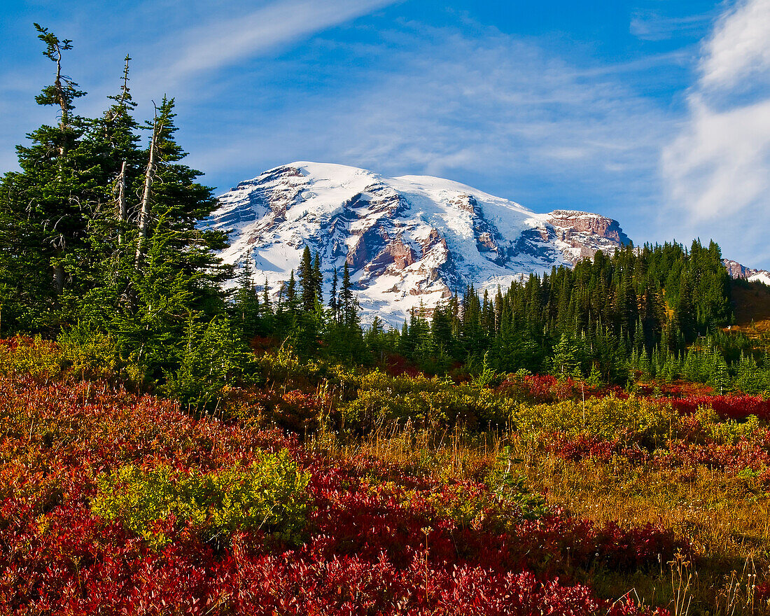 Mount Rainier And An Autumn Coloured Meadow, Mount Rainier National Park; Washington, United States Of America