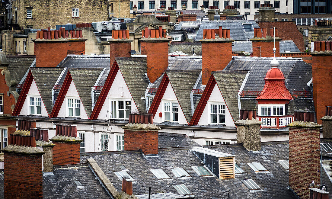 Old Rooftops And Chimneys; Newcastle Upon Tyne, Tyne And Wear, England