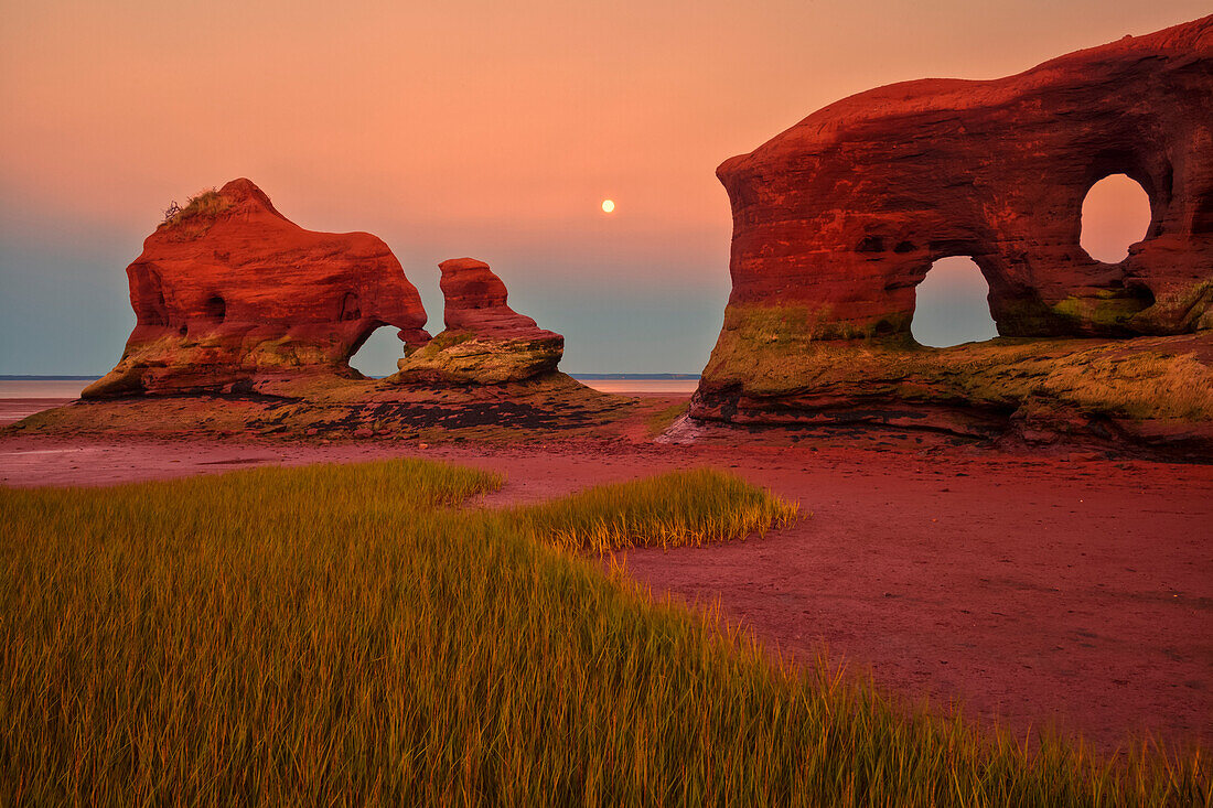 Coastal sea stacks, marsh grass and a full moon at twilight during low tide along the Minas Basin; North Medford, Nova Scotia, Canada