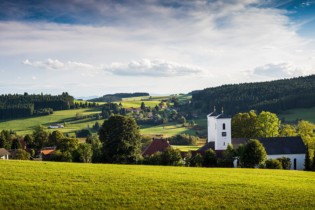 Herrischried, Hotzenwald forest, near Görwihl, Black Forest, Baden-Württemberg, Germany