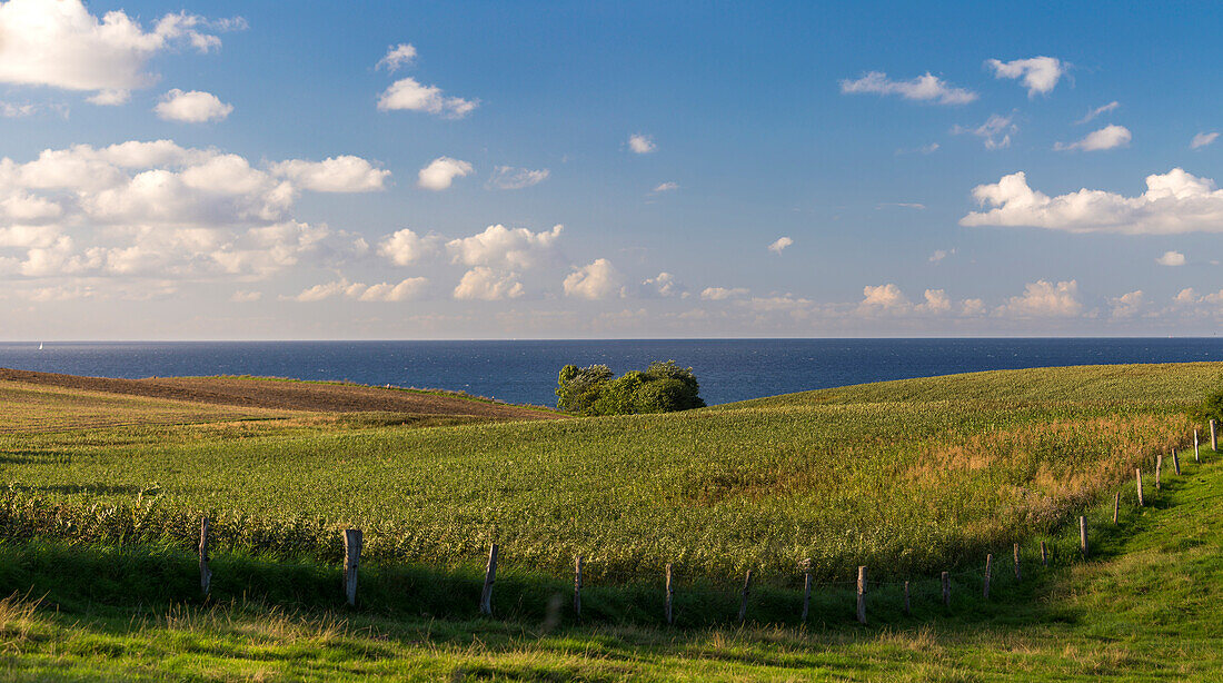 Stohl, Kieler Förde, Ostsee, Kiel, Schleswig-Holstein, Norddeutschland, Deutschland