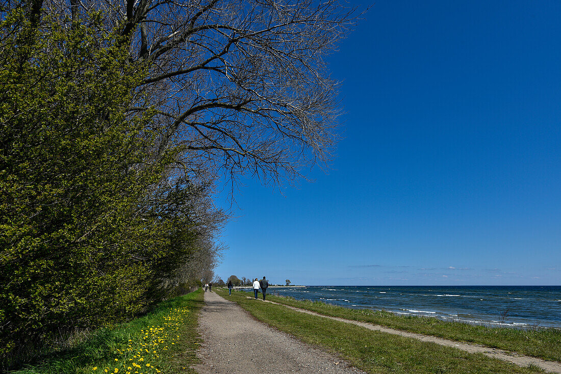 people walking near beach of  Baltic Sea, Kellenhusen,  Schleswig Holstein, Germany