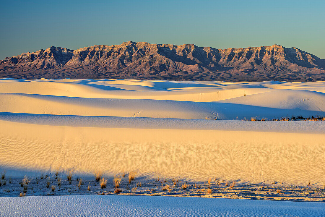 Weiße Sanddünen im ersten Licht, White Sands National Monument, New Mexico, USA