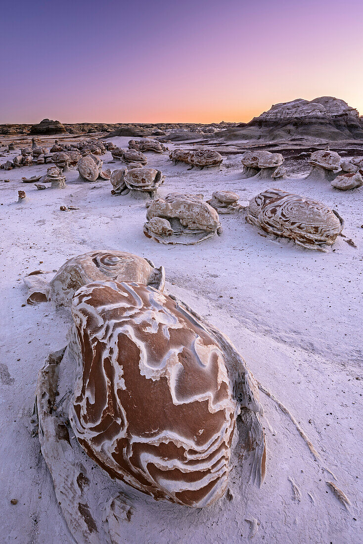 Striped rock eggs with sandstone at dawn, Bisti Badlands, De-Nah-Zin Wilderness Area, New Mexico, USA