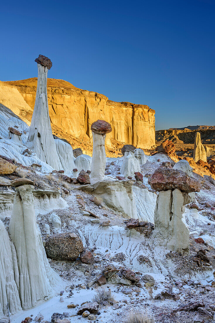 White rock towers at Wahweap River, Grand Staircase-Escalante National Monument, Utah, USA