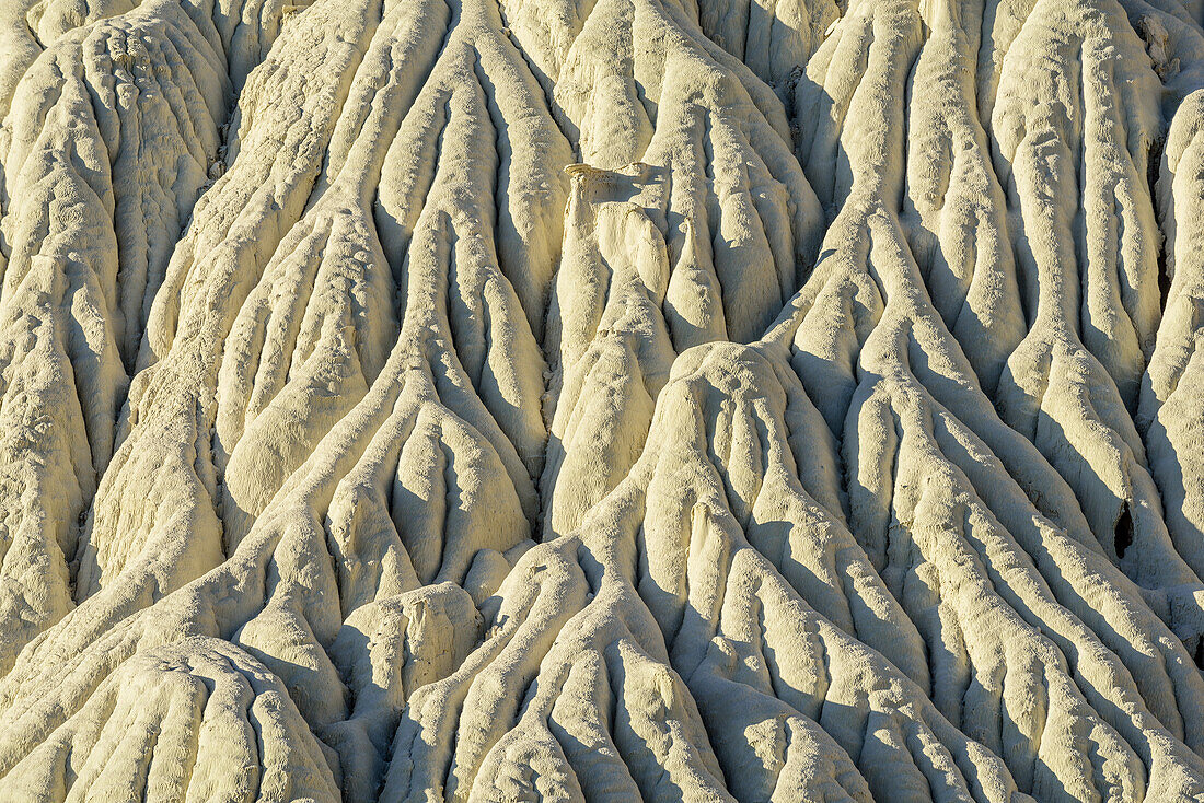Weiße Erosionsformen am Wahweap River, Grand Staircase-Escalante National Monument, Utah, USA