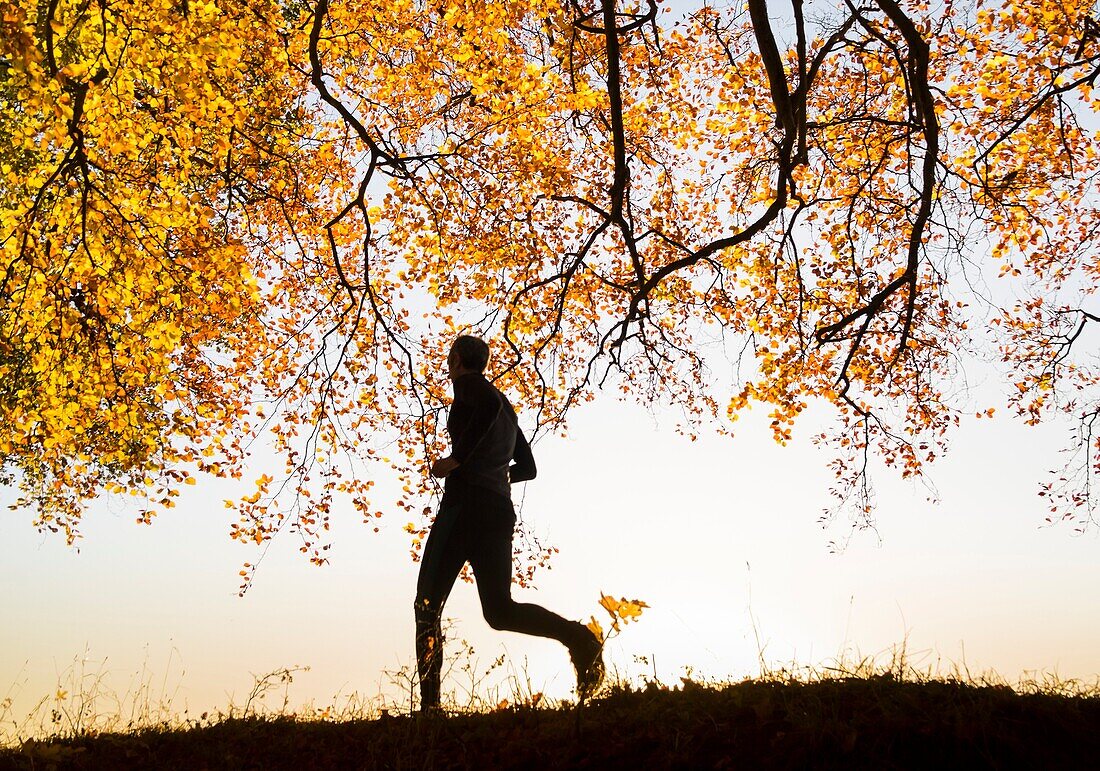 Mature jogger at sunrise on an Autumnal morning. Billingham, North east England. United Kingdom.