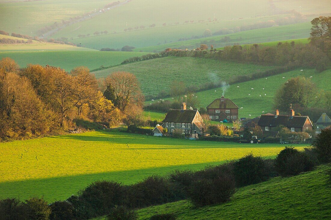 Misty autumn afternoon in South Downs National Park, West Sussex, England.