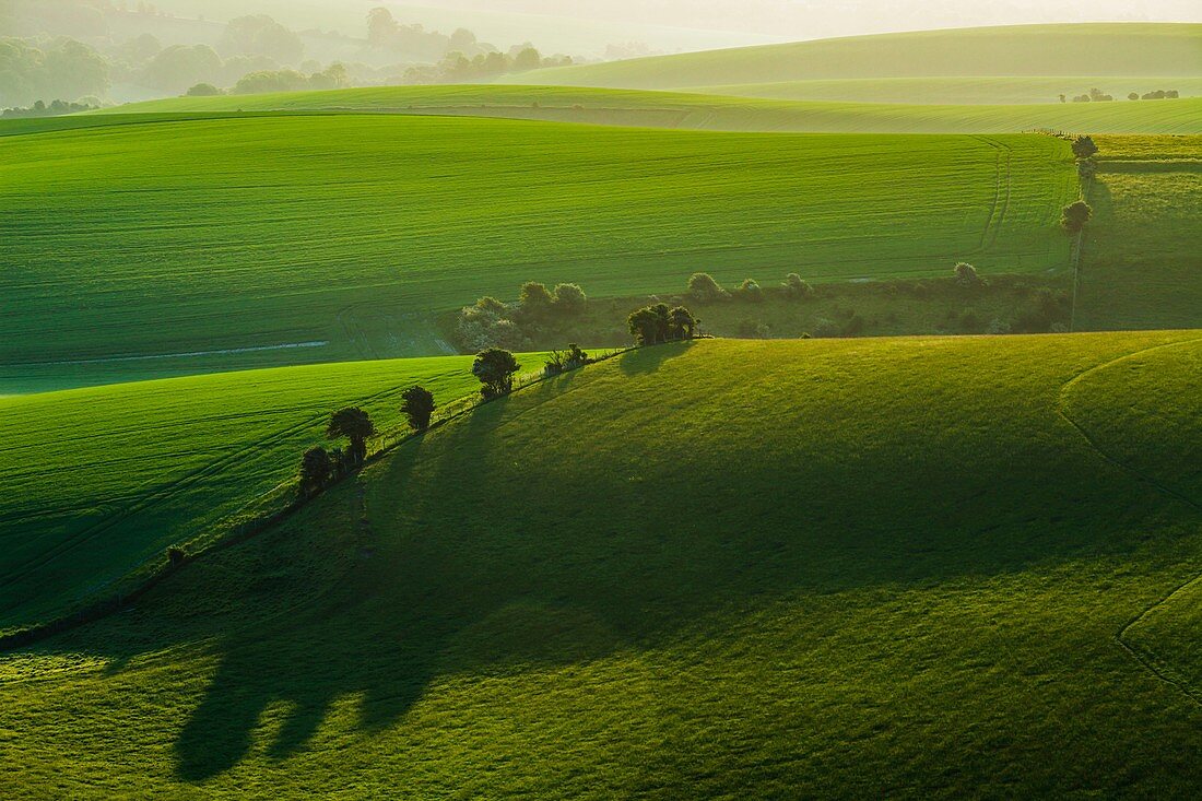 Spring sunrise in South Downs National Park, East Sussex, England.