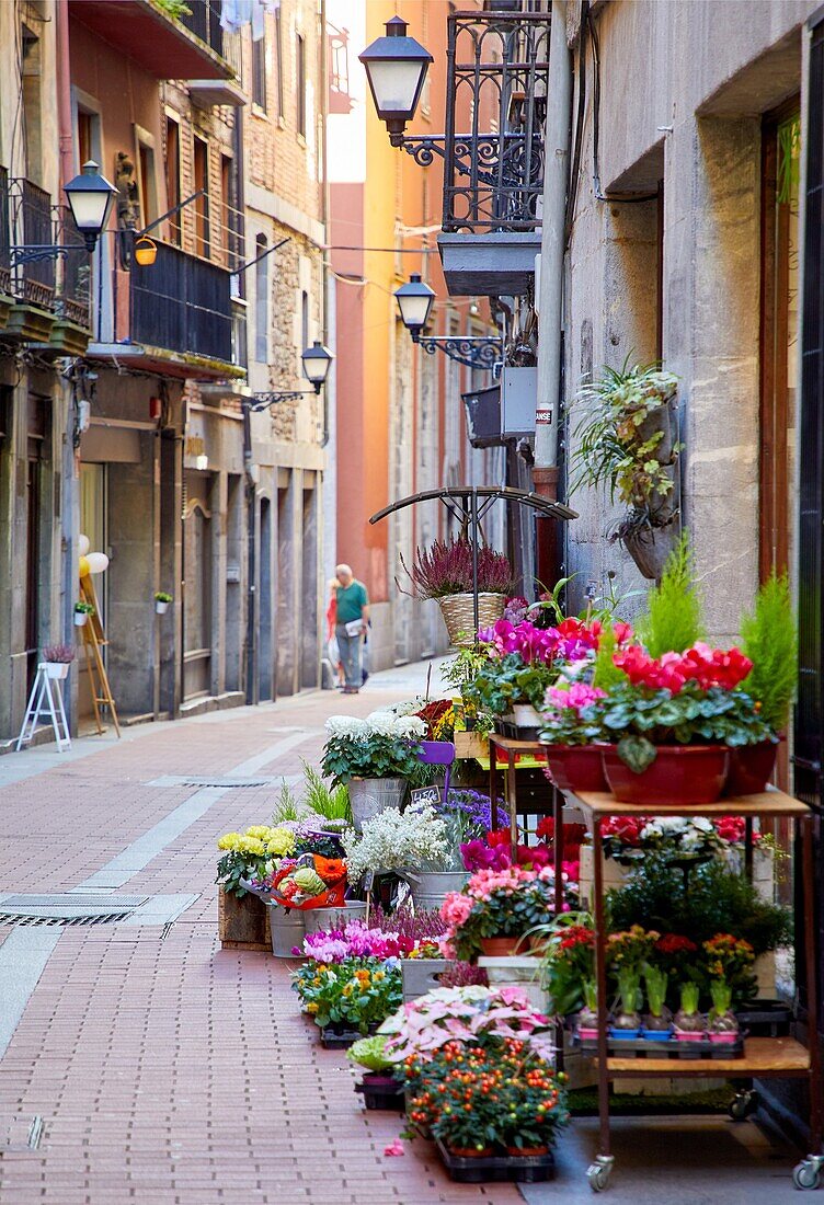 Blumenladen, Tolosa, Gipuzkoa, Baskenland, Spanien, Europa